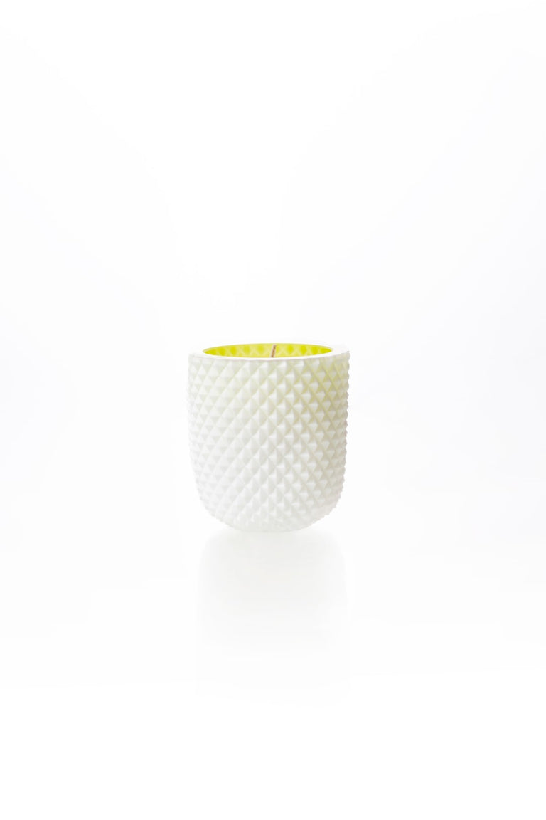 Cactus Opal candle